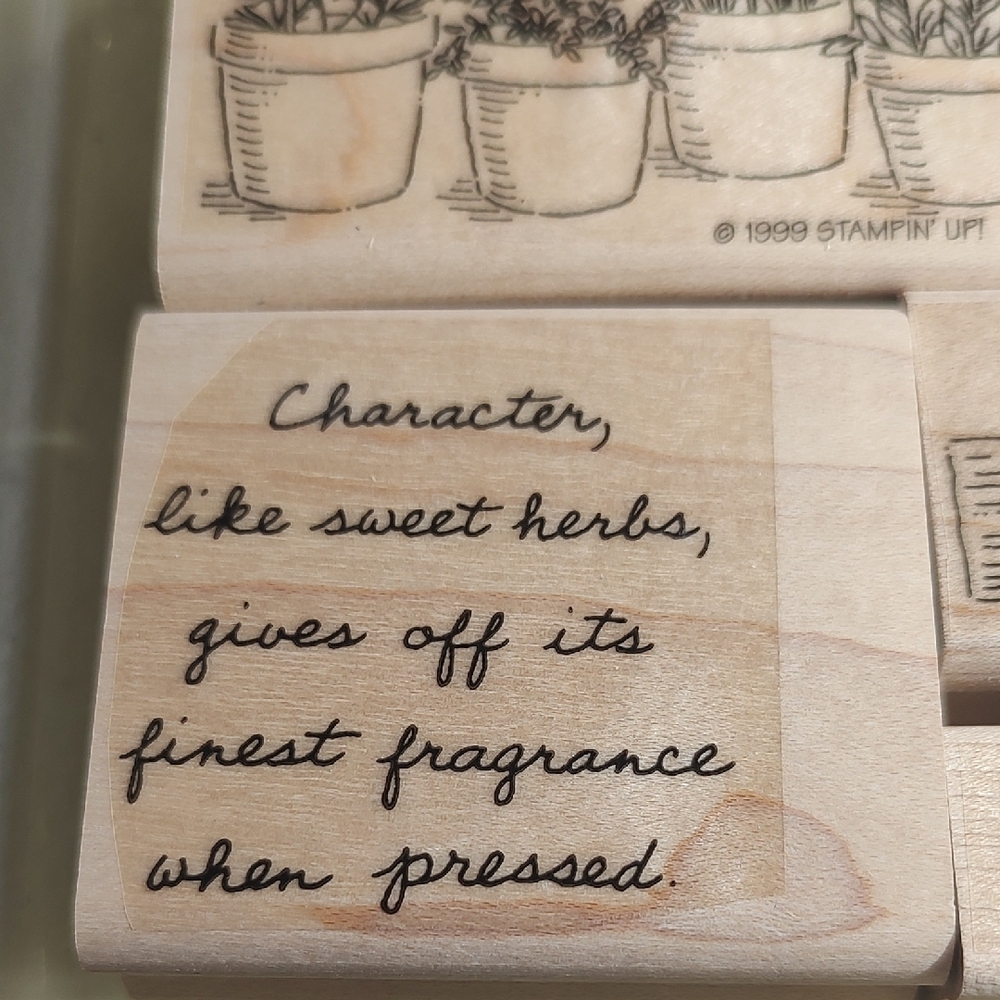 Stampin' Up! Sweet Herbs Stamp Set Of 6 Wood Mounted Thyme Chives Dill Bay - Picture 4 of 11